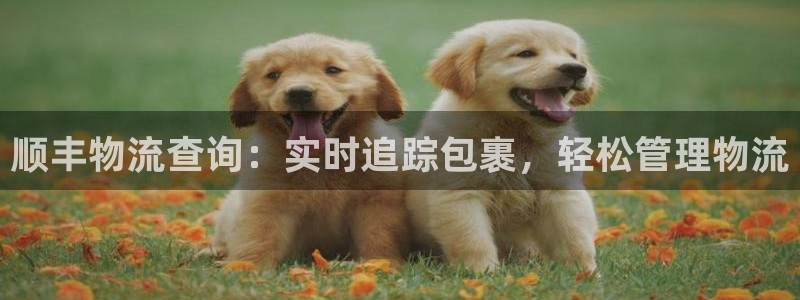 28圈圈：顺丰物流查询：实时追踪包裹