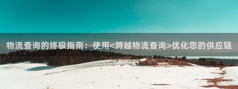 28圈最稳打法：物流查询的终极指南：