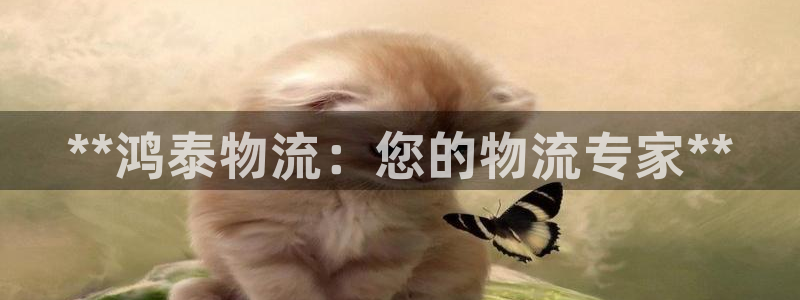28圈官网网站：**鸿泰物流：您的物