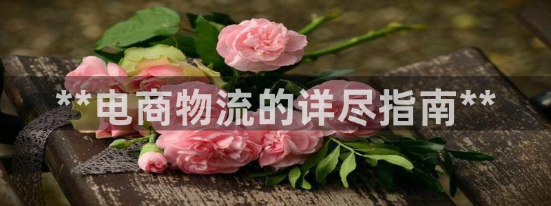 28圈：**电商物流的详尽指南**