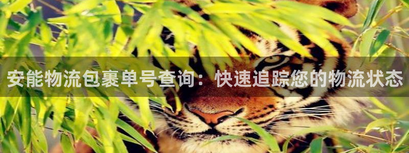 28圈.ccmpc28：安能物流包裹