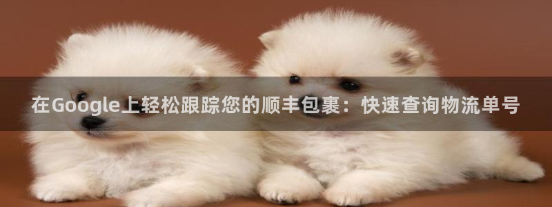 28圈比特28预测在线预测：在Goo