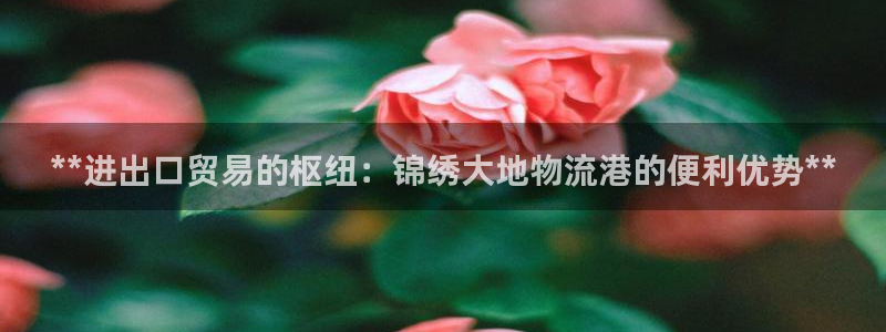 28圈.ccmpc预测：**进出口贸