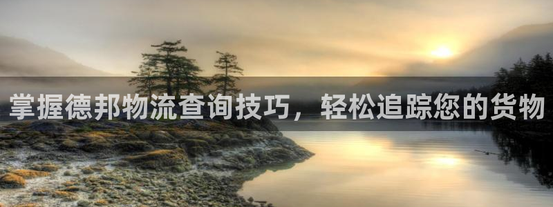 28圈模拟器在线玩