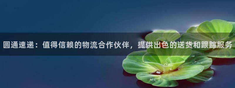 28圈加拿大真假怎么看：圆通速递：值