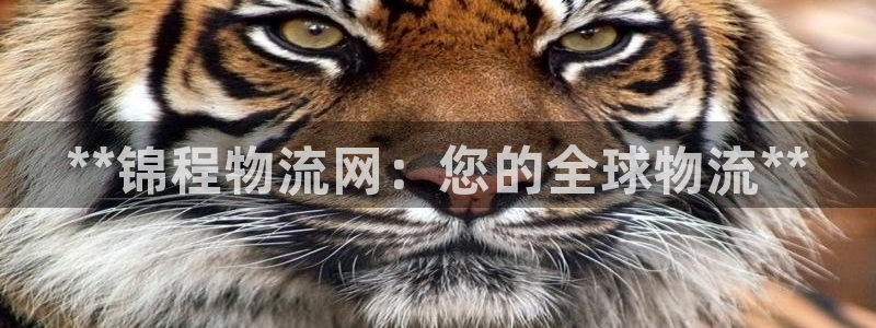 28圈加拿大官网：**锦程物流网：您