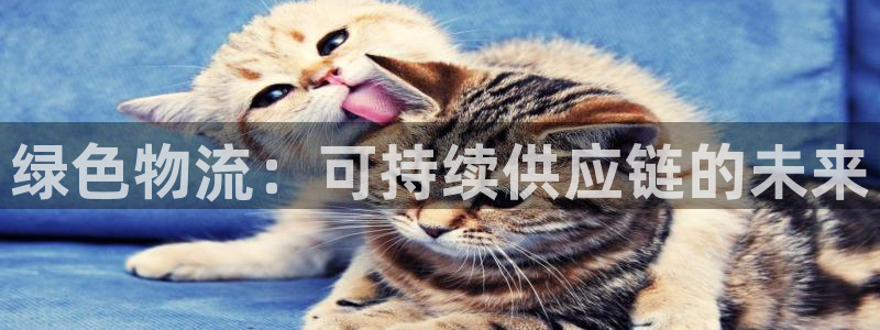 28圈能提现吗