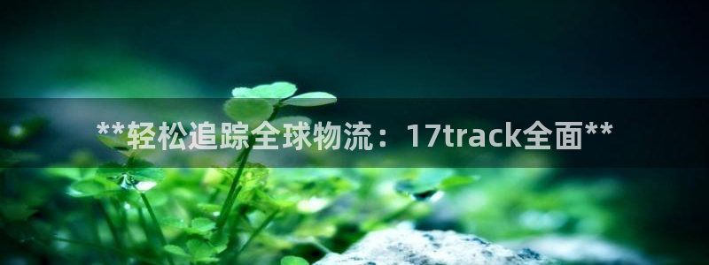 28圈链接来一个：**轻松追踪全球物