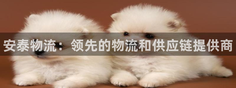 28圈初始密码在哪里修改：安泰物流：