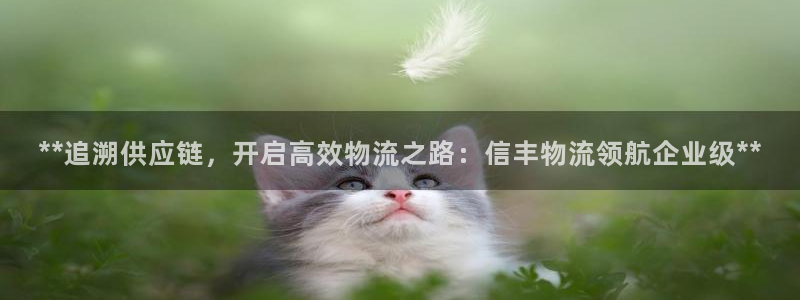 28圈.ccm2024：**追溯供应