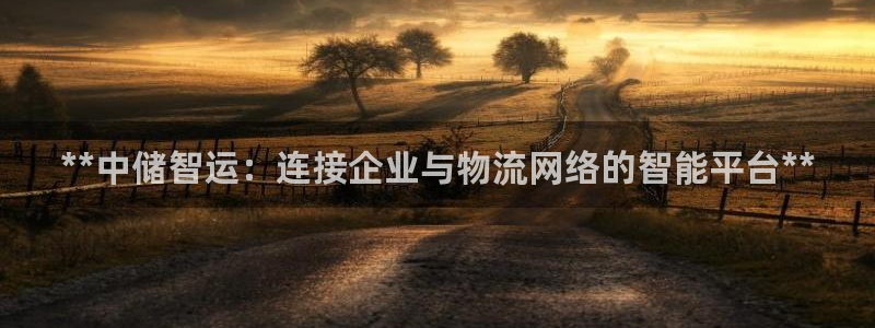 28圈h5链接