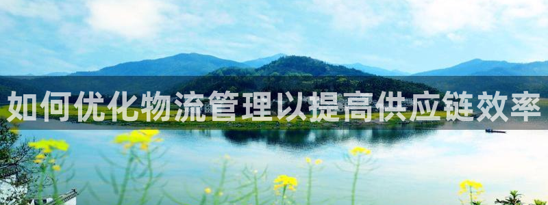 28圈二维码：如何优化物流管理以提高