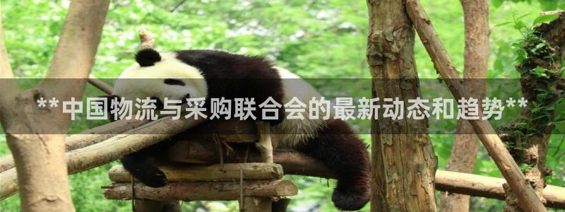 28圈南宫娱乐官网：**中国物流与采