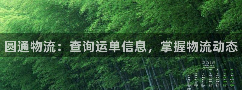 28圈游戏：圆通物流：查询运单信息，