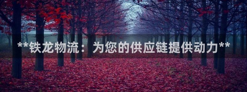 28圈pc预测