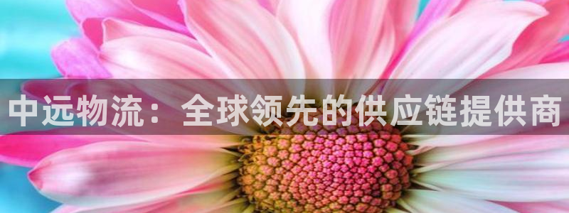 28圈昵称：中远物流：全球领先的供应