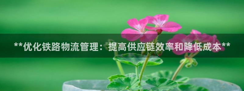 28圈下载不了：**优化铁路物流管理