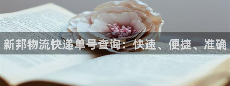 28圈辅助：新邦物流快递单号查询：快