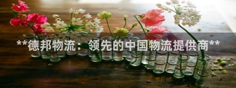 28圈哪个最赚钱