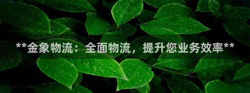 28圈p扣除