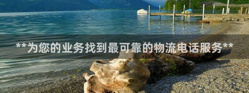 28圈比特28预测在线预测：**为您