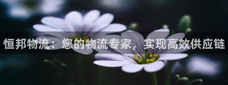 28圈犯法吗：恒邦物流：您的物流专家