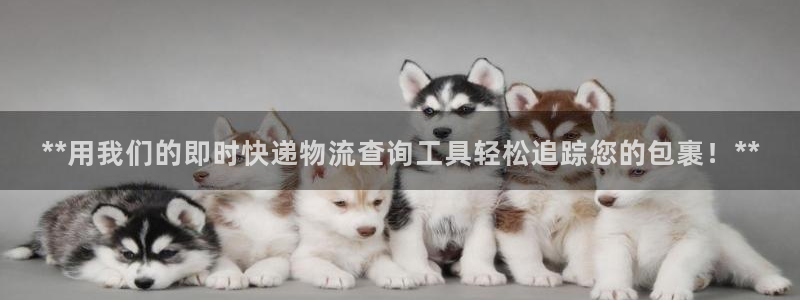 28圈.ccmpc预测