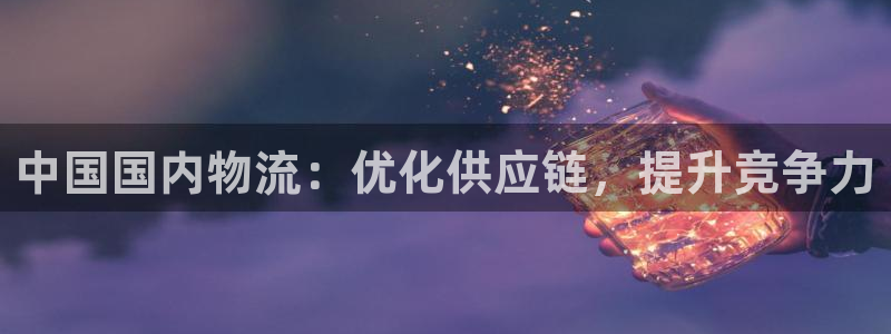 28圈为什么打不开：中国国内物流：优