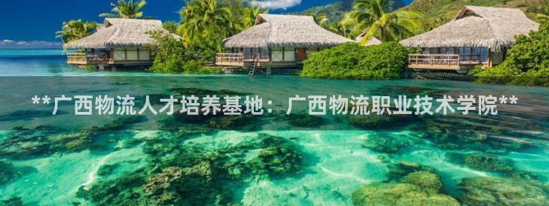 28圈游戏最新版