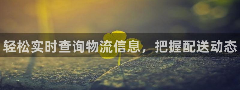 28圈链接是什么：轻松实时查询物流信