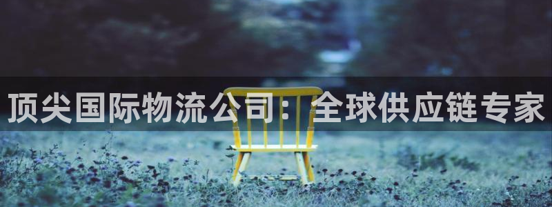 28圈模拟器下载：顶尖国际物流公司：