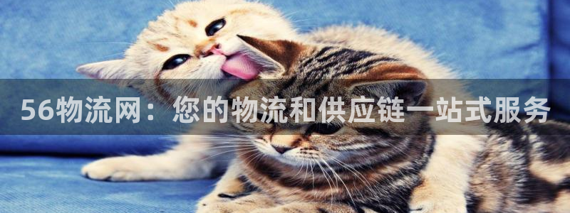 28圈官网版2024：56物流网：您