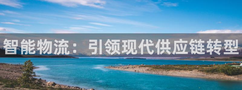28圈登录流程：智能物流：引领现代供