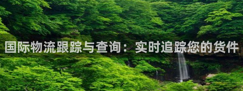 28圈能赢钱吗：国际物流跟踪与查询：