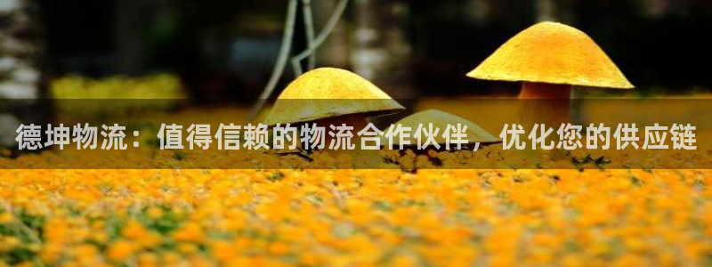 28圈.ccm正版