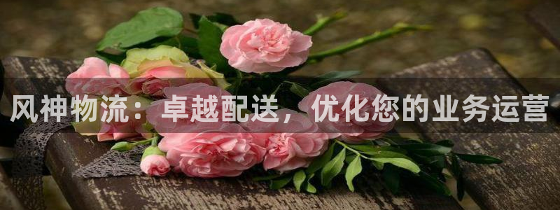 28圈app注册地址：风神物流：卓越