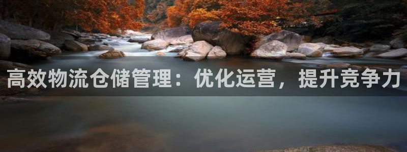28圈开奖预测