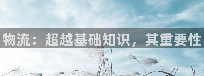 28圈黑款