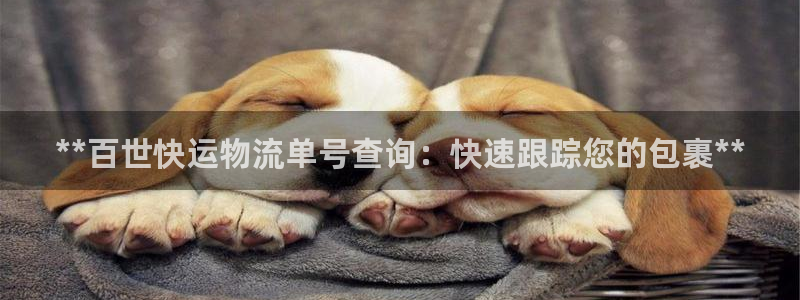 28圈app怎么注销