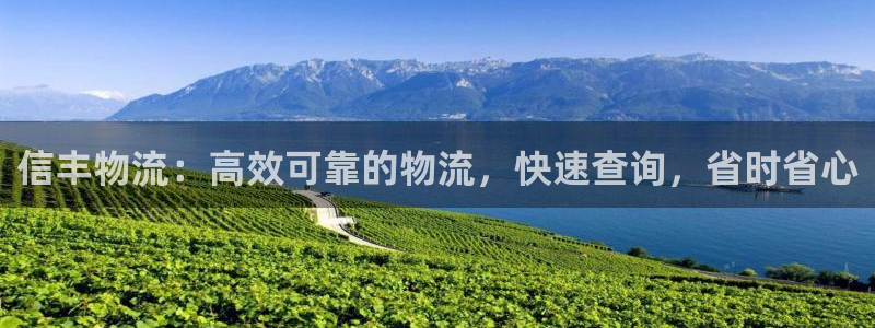 28圈注册步骤：信丰物流：高效可靠的