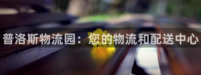 28圈官网开奖结果预测