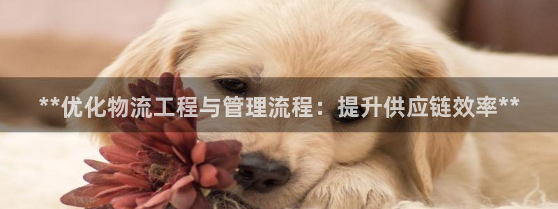 28圈黑平台吗：**优化物流工程与管