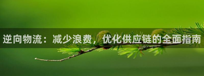 28圈加拿大预测