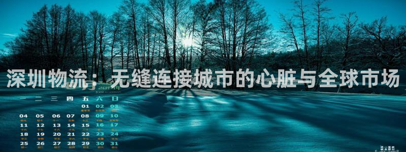 pc28圈怎么注册：深圳物流：无缝连