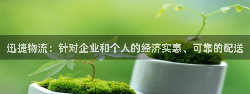 28圈app注册地址：迅捷物流：针对