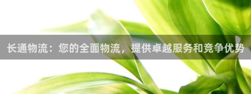 28圈加拿大28