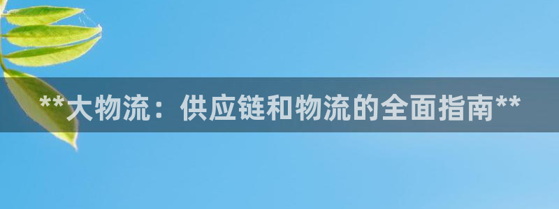 28圈充值：**大物流：供应链和物流