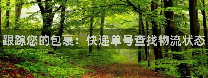 28圈加拿大下载