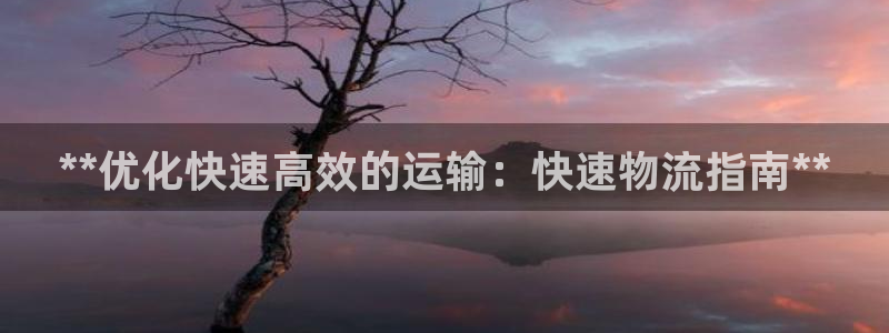 28圈游戏最新版：**优化快速高效的