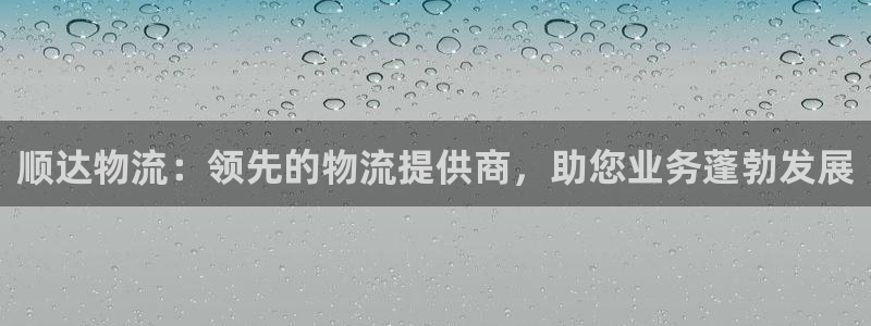 28圈注册登录：顺达物流：领先的物流